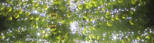 Unsere traditionelle Weihnachtsfeier