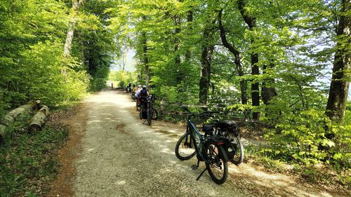 Fahrradtour -Schaichtal, Glashütte, Aichtal