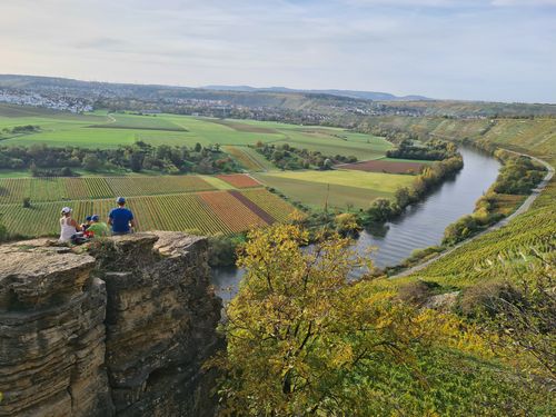  Aussichtsreiche Rundwanderung im Neckartal / -Besigheim-Hessigheim-Mundelsheim-