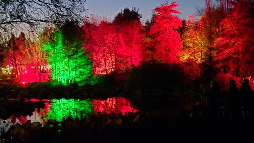 Herbstfest mit Illumination - Arboretum Ellerhoop

