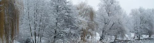 👟👟 NORDIC WALKING 👟👟   am Wasser  🌞 mit oder ohne Stöcke