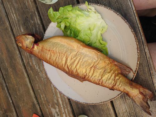 Fahrradtour ohne Motor 3.1