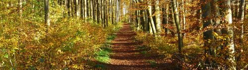 Sonntagsspaziergang "Kunst und Glühli"   