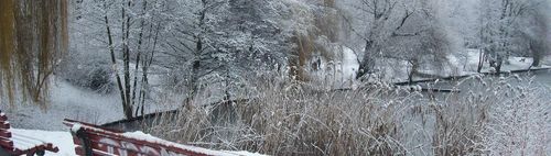 👟👟 👟👟 WANDERN / NORDIC WALKING  am Wasser  🌞 es geht auch OHNE Stöcke