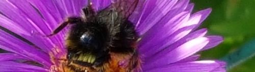 Karfreitags geschehen in München