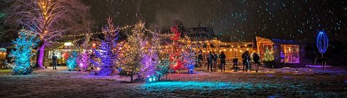 WINTERWEIHNACHT: Kunst, Musik und Kulinarik am See