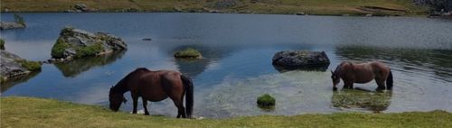 Deutscher Alpenverein: BILDER-VORTRAG: Fernwanderweg HRP Haute Randonnée Vom Atlantik zum Mittelmeer