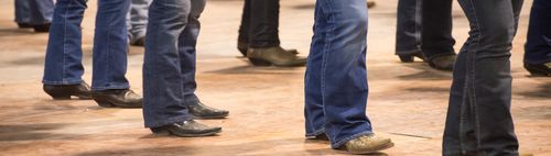 Line Dance Tanzen lernen mit Spaß!