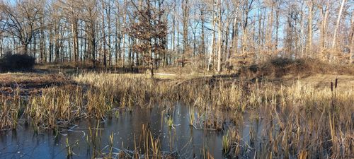  Mit a bisle Schnee?  Feuerbacher Höhenweg und zum grünen Heiner