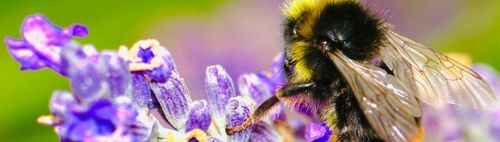 FERTIG! - 300/89 (s) - ONLINE puzzeln - wann und wo Du willst: alleine oder in der Gruppe