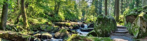  Besuch im Nationalpark Bayerischer Wald mit Übernachtung Sa/So