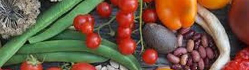 "Radtour Nr. 1Saatgutfestival i. ÖBZ oder zu fuss oder MVV