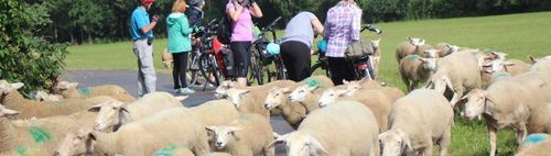" Radl u. Wandern u. Kulturstammtisch " Miteinander o. Altersbegrenzung 