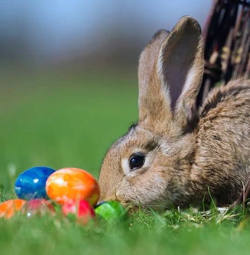 Ostersparziergang durch den Schlosspark Nymphenburg 