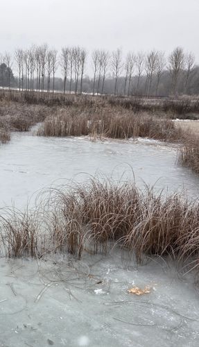 Sportlich flotte Gehrunde diesmal im Riemer Park