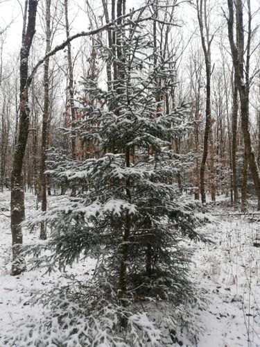 Sportlich flotte Gehrunde im Riemer Park wegen vereistet Waldwege