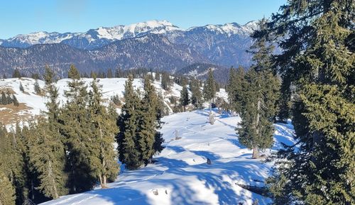 Skitour zum Roßkogel/Brandenberg