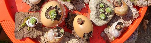 Frühlingsbasteleien mit Naturmaterialien