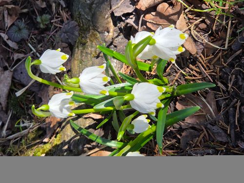 Runde in Nymphenburg mit Einkehr