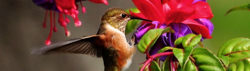 FERTIG! - 600/54 (s) - ONLINE puzzeln - wann und wo Du willst: alleine oder in der Gruppe