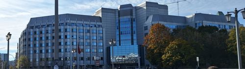 Einfach mal so...die Stadt erkunden? (Touristenrunde Mitte)