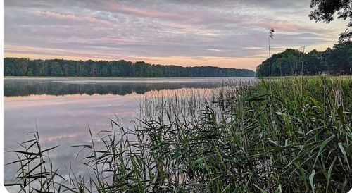Stadtmauer Templin und Lübbesee