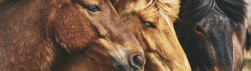 600/57 (s) - ONLINE puzzeln - wann und wo Du willst: alleine oder in der Gruppe