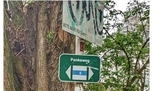 Pankewanderung 