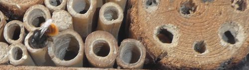 Wer hat noch kein Wildbienenhotel? (1)