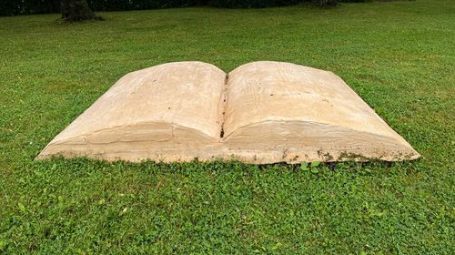 Bücher und Frauen 📖 