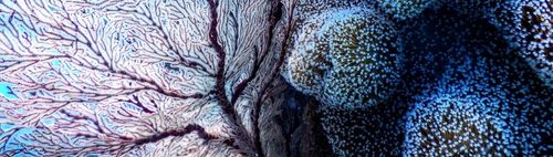 FERTIG! - 300/104 (u) - ONLINE puzzeln - wann und wo Du willst: alleine oder in der Gruppe