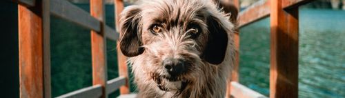 600/59 (s) - ONLINE puzzeln - wann und wo Du willst: alleine oder in der Gruppe