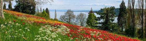 Insel Mainau 