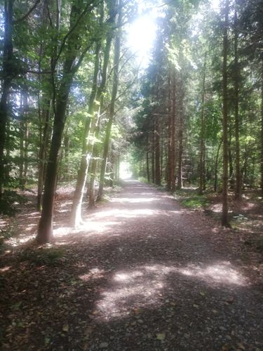 Sportlich flotte Gehrunde ab Waldtrudering-Keferloh-Solalinden und zurück