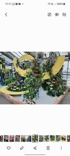 Orchideenausstellung