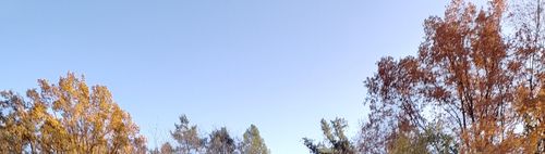 🌞🌱 🐰🐇🐰🌱 🌞 WANDERN🚶ostwärts am Teltowkanal von Bäkebrücke🚶🚶👫🚶maximal bis Ufa-Gelände 🐇