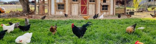 1000/58 (u) - ONLINE puzzeln - wann und wo Du willst: alleine oder in der Gruppe