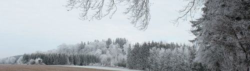 Spazierrunde von Germering Bhf - Richtung Gnadenhof Gut Streiflach