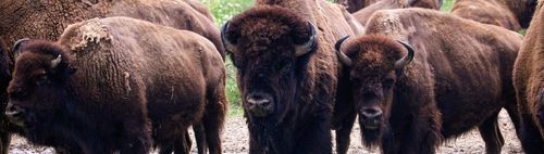 600/61 (s) - ONLINE puzzeln - wann und wo Du willst: alleine oder in der Gruppe