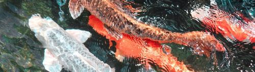 FERTIG! - 300/110 (u) - ONLINE puzzeln - wann und wo Du willst: alleine oder in der Gruppe