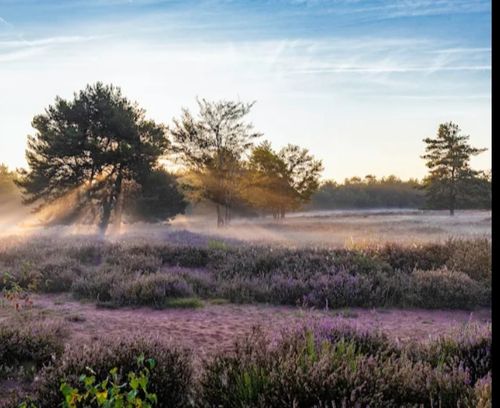 Kennenlernen beim Spaziergang in der Mehlinger-Heide 