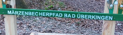 "Spazandern" zu den Märzenbechern