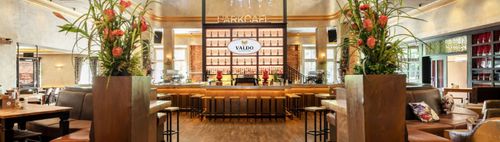 Single-Stammtisch im Parkcafé - ratschen, essen & kennenlernen