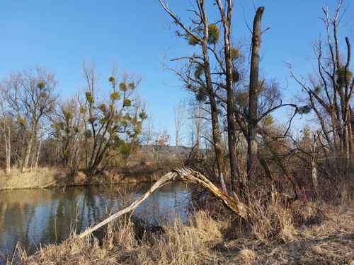 Geomantischer Spaziergang Ammersee Süd