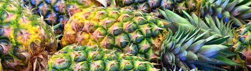 München: Pineapple Park (ausgebucht bei MVHS)