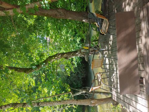 Wer hat Lust auf Spaziergänge in der Natur?