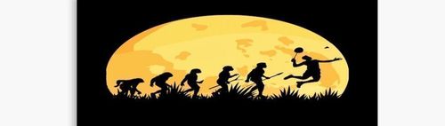 Freitags - Federballer