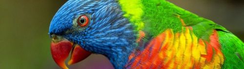 300/112 (u) - ONLINE puzzeln - wann und wo Du willst: alleine oder in der Gruppe