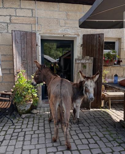 Führung durch die Eselsmühle
