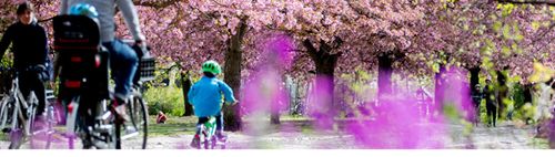  🌞🌱 ENDLICH Frühling🌱 ☀️ 👟👟 SPAZIEREN 👟👟  vor dem STAMMTISCH im Südwesten 🍷🍽 